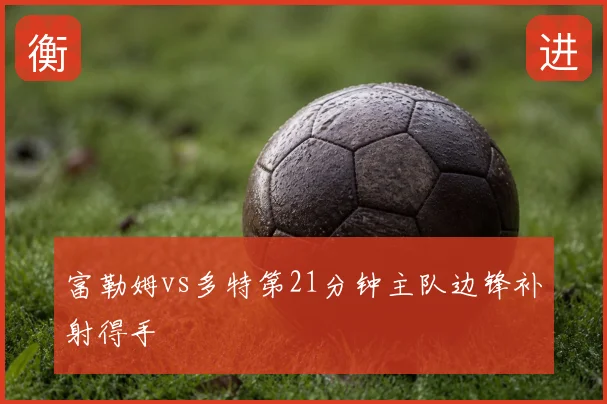富勒姆vs多特第21分钟主队边锋补射得手